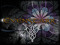 01.Emerald Evenstarr Family 01.Emerald Evenstarr Family