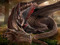 Dragon Lovers Herum Dragon Lovers Herum