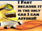 Fart