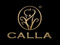 Calla Update & VIP Group
