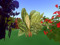 CHEAP TROPICAL PLANTS CHEAP TROPICAL PLANTS