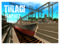 WINTER TULAGO