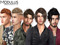 Modulus. Alpha hair, Hair bases, HD beards, HD eyebrows & BOM Modulus. Alpha hair, Hair bases, HD beards, HD eyebrows & BOM