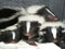 Skunks Annonymous