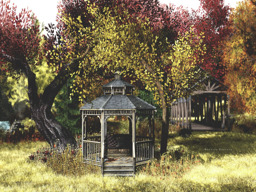 parcel image