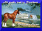 River Boat Ranch