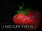 Industria