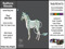 RealHorse Rideable Animesh Horses