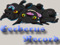 .:Cerberus Records:.