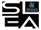 Second Life Endowment for The Arts