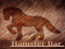 New HamsterBar and shop