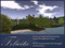 * 2656 sqm. OCEANFRONT GRASS LAND for sale - 1175 prims * 2656 sqm. OCEANFRONT GRASS LAND for sale - 1175 prims