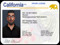 License License