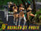 BBF: Bridled by Force Ponygirl Ranch and CWD park BBF: Bridled by Force Ponygirl Ranch and CWD park