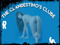  CLANDESTINOS-SWING-CLUB
