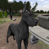 Second Life profile photo