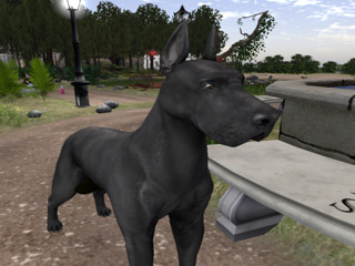 Second Life profile photo (full)