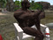 Whiterock Men's Beach :: Adult Gay Men Only :: Whiterock Men's Beach :: Adult Gay Men Only ::