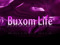 Buxom Life