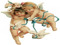 Cherubs
