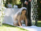 Cattiveria Brides