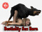 BESTIALITY SEX BARN ~ Rape Fuck Breeding BESTIALITY SEX BARN ~ Rape Fuck Breeding