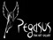 Pegasus Art Patrons