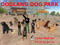 Dogland Park - Virtual k9 Companions and more!