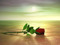 ----\--{@ Red Rose Clan @}--/----