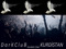 :: D a r K C l u B -::KURDISTAN-::