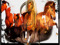 ..:::Braveheart Ranch{Update Group} ..:::Braveheart Ranch{Update Group}
