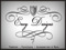 Envy Designs Group
