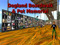 Pet Memorial