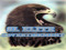 SL Elite Advertisement SL Elite Advertisement