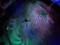 EUPHORIA GUEST LIST EUPHORIA GUEST LIST