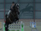 Home Sweet Home for Horse Lovers Home Sweet Home for Horse Lovers