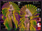 lunamoon's Creation Costume Shop-Maitreya-Belleza-SLINK-EVE