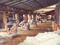The Wool Shed