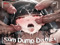 Cum Dump District