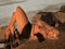                                   ... !?!? ...