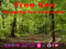 XXX Heaven - Dogging - Swingers Hangout XXX Heaven - Dogging - Swingers Hangout
