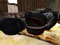 !Wasteland Profile : "Tem" !Wasteland Profile : "Tem"