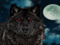 Wolf spirit Wolf spirit
