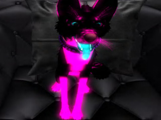 Second Life profile photo (full)