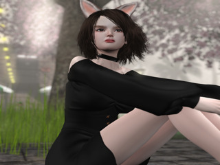 Second Life profile photo (full)
