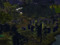Serin The Silver Dragon Serin The Silver Dragon