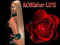 HARAS ROSEsher LIFE HARAS ROSEsher LIFE