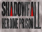 Shadowfall Superheroine Prison Shadowfall Superheroine Prison