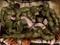 Ironcock Clan Ironcock Clan