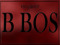  B BOS -V.I.P GROUP-